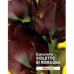 alcachofa violeta de romagna - semillas ecologicas