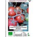 semillas ecológicas de tomate rama