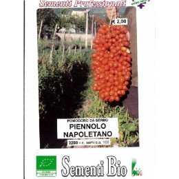tomate piennolo napolitano (semillas ecológicas)