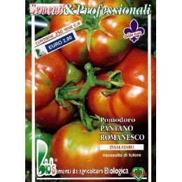 tomate pantano romanesco (semillas ecológicas)
