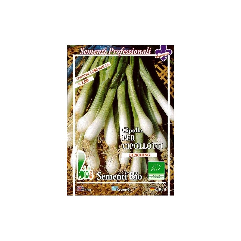 Vegetable Seeds Onion BORETTANA Seeds 500 Seeds for Gardening Seklos LT 