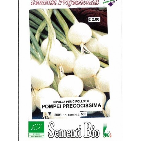 semillas ecológicas de cebolla blanca pompei