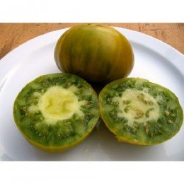 tomate verde de Orista, semillas ecologicas