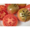 tomate St. Jaume de Sesoliveres (de colgar) semillas ecológicas 