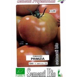 tomate primizia (semillas ecológicas)