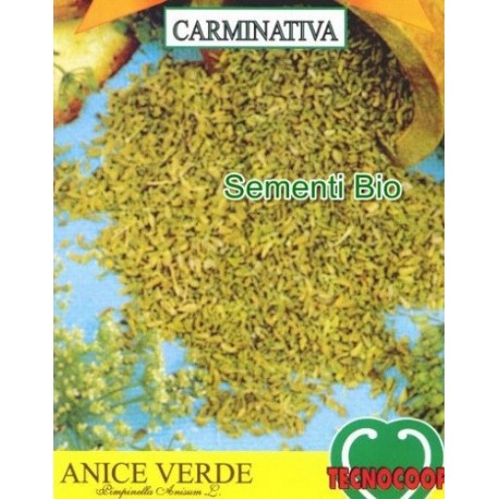 anis (pimpinella anisum) - semillas ecologicas