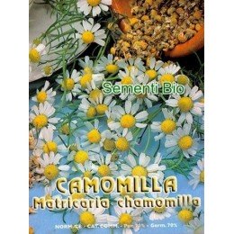 manzanilla (MATRICHARIA CHAMIMILLA) - semillas ecológicas