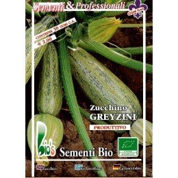calabacin greyzini - semillas ecológicas