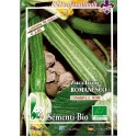 calabacin romanesco - semillas ecológicas