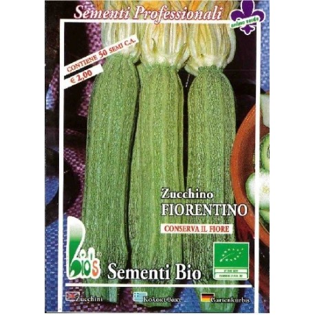 calabacin largo fiorentino - semillas ecologicas - www.planetasemilla.es