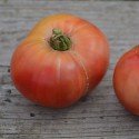 tomate cherokee purple semillas ecologicas