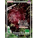 achicoria roja de Verona semillas ecológicas