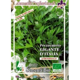 perejil gigante de Italia (semillas ecológicas)
