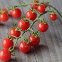 tomate barbaniaka - semillas ecológicas