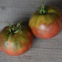tomate Black Sea Man