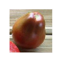 tomate japanese black trifele (semillas ecológicas)