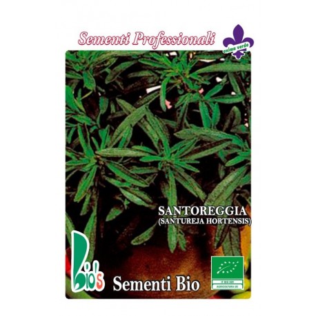 semillas ecológicas de ajedrea (santureja hortensis)