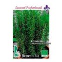 romero (rosmarinus officinalis) - semillas ecológicas