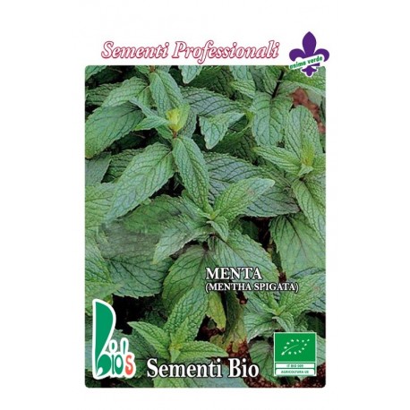 hierbabuena (mentha spicata) - semillas ecológicas