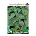 hierbabuena (mentha spigata) - semillas ecológicas