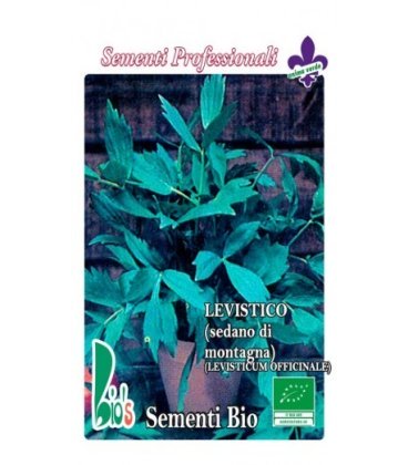 levistico (Levisticum officinale) - semillas ecológicas