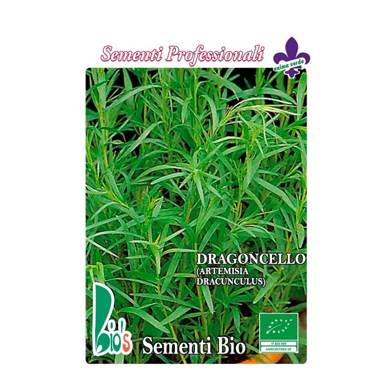 Semillas de Estragón Aromático 70 Semillas de Artemisia Dracunculus Dragoncillo o Tarragón