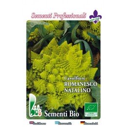 brocoli romanesco - semillas ecológicas