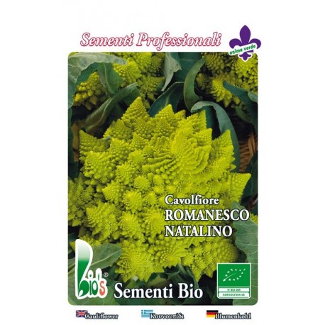 brocoli romanesco - semillas ecológicas