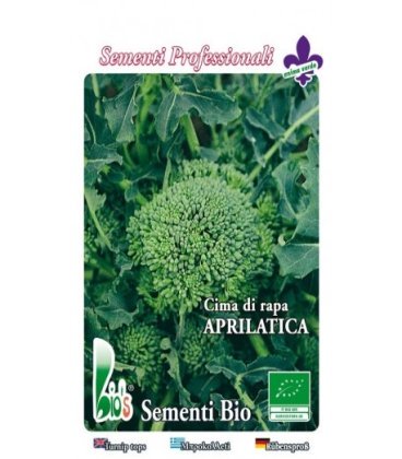 brocoli rapa Aprilatica - semillas ecologicas