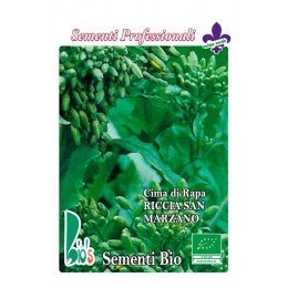 brocoli rapa rizado San Marzaro - grelos - semillas ecológicas