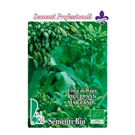  brocoli rapa rizado San Marzaro - grelos - semillas ecológicas