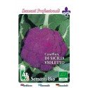 coliflor violeta de Sicilia - semillas ecologicas