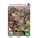 lechuga hoja de roble (red salad bolw) semillas ecológicas