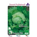 lechuga brasiliana iceberg - semillas ecologicas