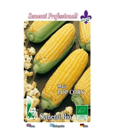 maíz para palomitas (semillas ecologicas)