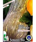 calabaza nostrale (semillas ecológicas)