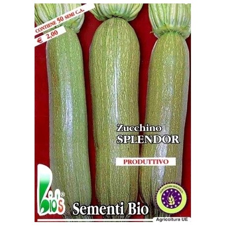 calabacin splendor (semillas ecológicas)