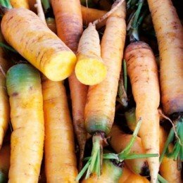 zanahoria amarilla "jaune du doubs" (semillas sin tratar)