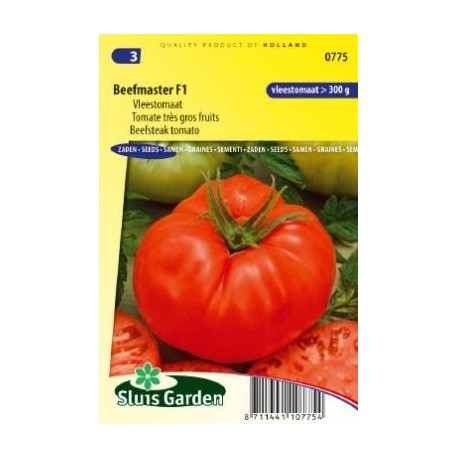 tomate beefmaster f1