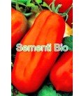 tomate largo supergigante (semillas ecológicas)