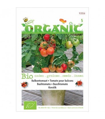 tomate colgante koralik (semillas ecologicas)