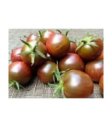 tomate cereza negra (semillas ecológicas)