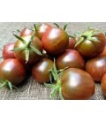 tomate cereza negra (semillas ecológicas)