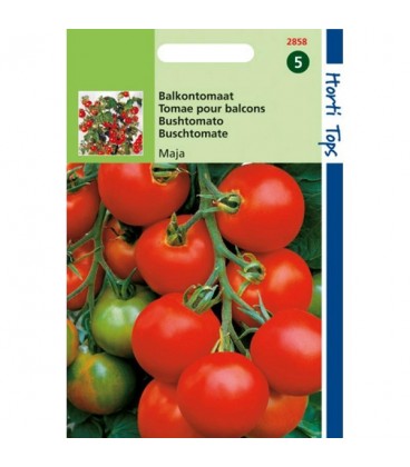 tomate maja