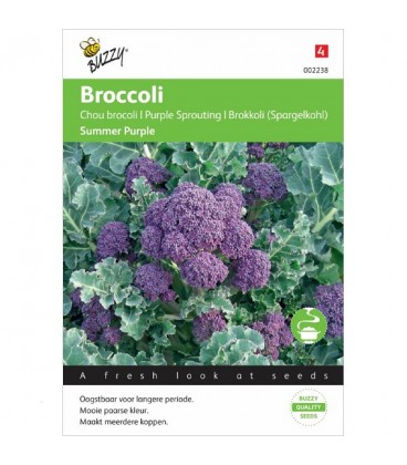 brocoli morado summer purple
