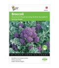 brocoli morado summer purple