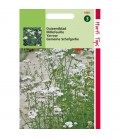 milenrama (Achillea millefolium) semillas ecologicas
