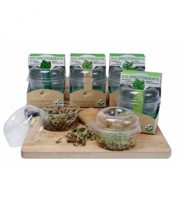 kit de germinado ecológico de soja
