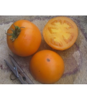 tomate earl of edgecombe (semillas ecológicas)