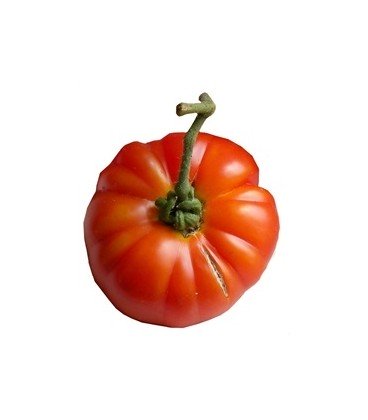 tomate Ararat flame (semillas ecológicas)